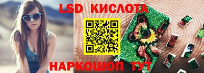 индика Лесосибирск
