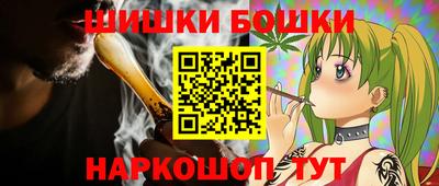 индика Лесосибирск