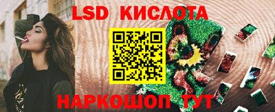 индика Лесосибирск