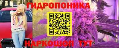 индика Лесосибирск