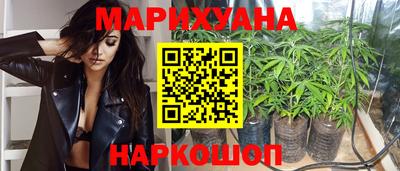 индика Лесосибирск