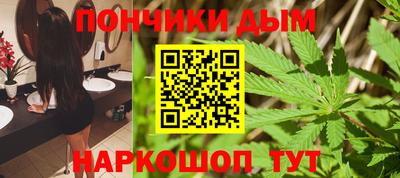 индика Лесосибирск