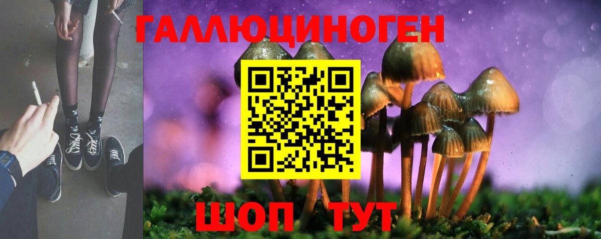 Галлюциногенные грибы GOLDEN TEACHER  Псилоцибиновые грибы Psilocybe  Ижевск  Вход с VPN 